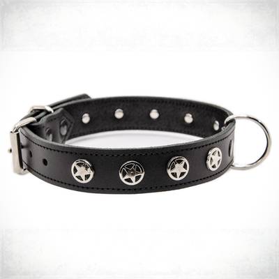 Nähen Sie ein schwarzes Halsband mit Sternen