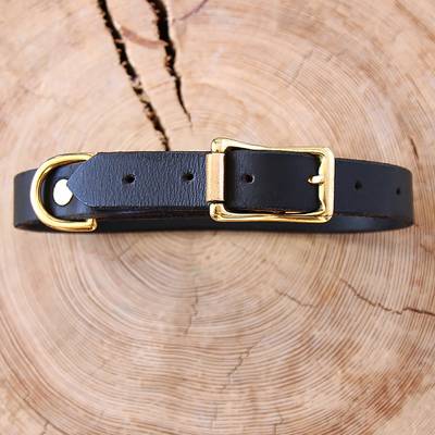 Nähe ein schwarzes Lederhalsband mit goldener Beschlägen