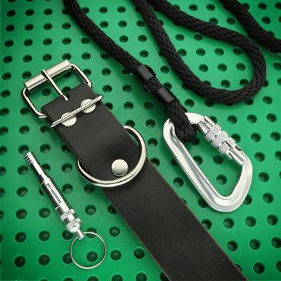 Collar de cuero negro con herrajes niquelados y correa con mosquetón de aluminio