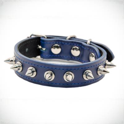 Stelle ein blaues Halsband mit Metallspitzen her
