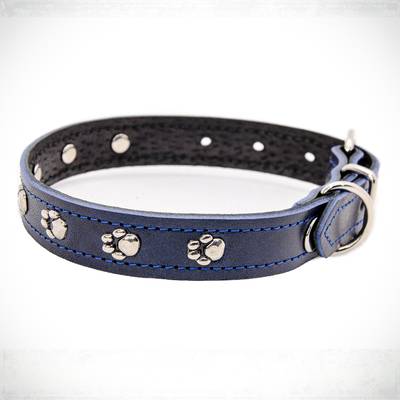 Make a blue collar with silver details
