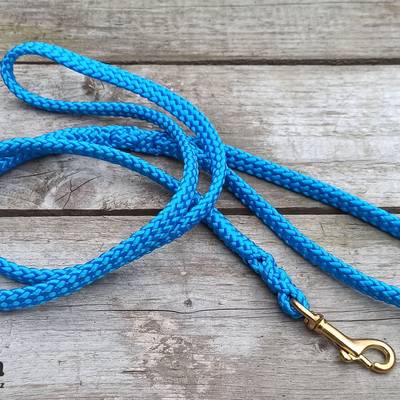 Haz un correa azul con mosquetón dorado