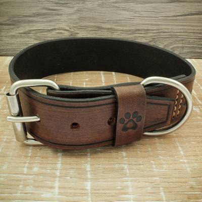 Nähe ein braunes Halsband mit Doppel-Schnalle