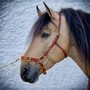Example of use #4: Bridle buckle – Brass