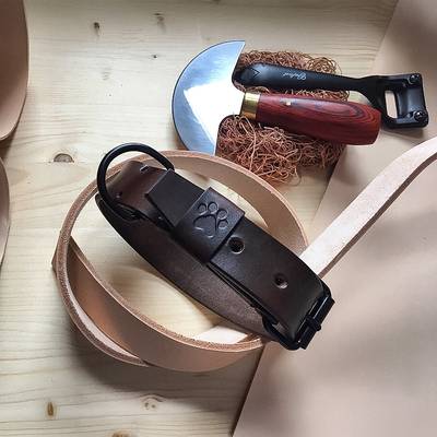 Nähe ein braunes Lederhalsband mit schwarzem Beschlag