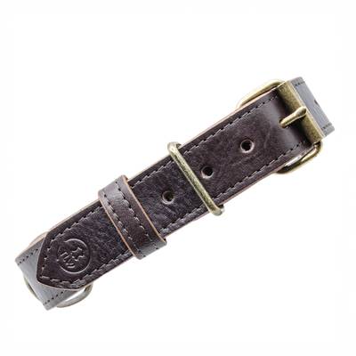 Nähe ein braunes Lederhalsband mit Messing