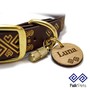 Example of use #5: Double Bar Collar Buckle – Brass