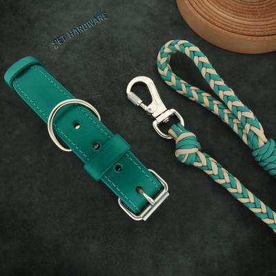 Collar para perro con herrajes inoxidables y correa paracord