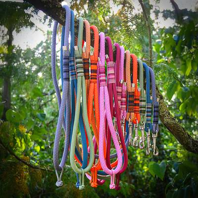 Correas de colores con herrajes niquelados