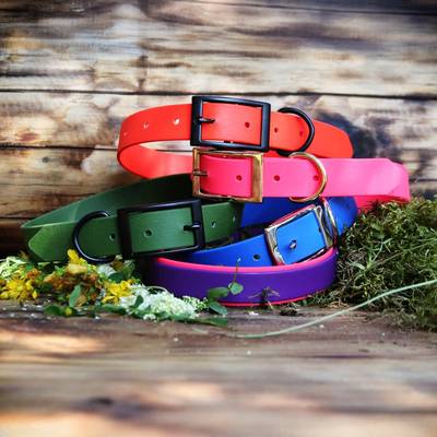 Fertige einen bunten Halsband mit Beschlägen an