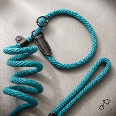 Green rope leash with a matching collar