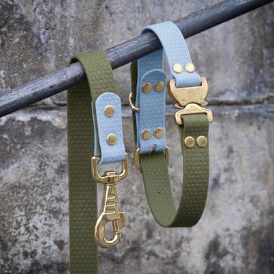 DIY Kit: Green-Blue Dog Collar | Waterproof & Brass