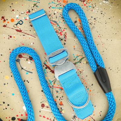 Blue collar with nickel-plated hardware