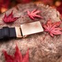 Пример использования #1: Цельнометаллическая пряжка 30 mm – позолоченный