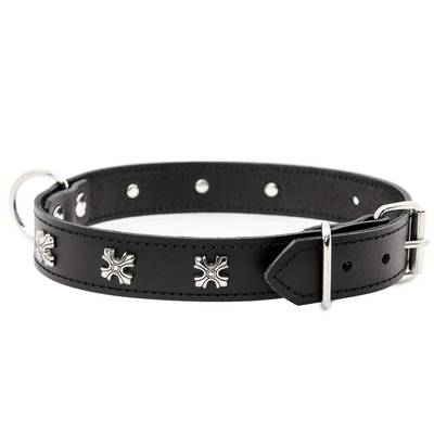 Montiere schwarzes Lederhalsband mit Beschlägen