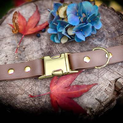Haz un collar de cuero con herrajes de latón