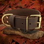 Example of use #2: Collar Loop – Brass