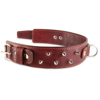 Collar de cuero con pinchos atornillables