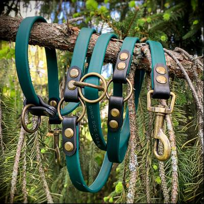 Make a Leather Collar with Leash