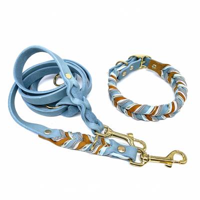 Nähe ein Lederhalsband und eine Leine