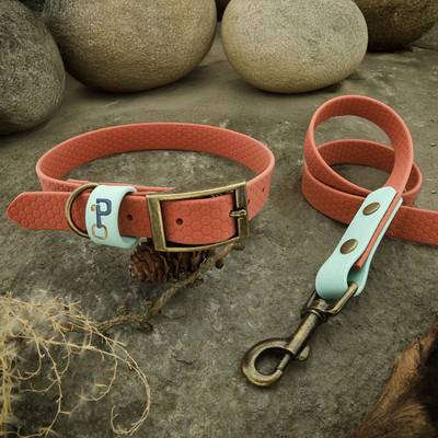 Stelle Halsband und Leine aus Leder und Messing zusammen