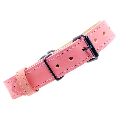 Nähe ein rosa Halsband mit schwarzem Beschlag
