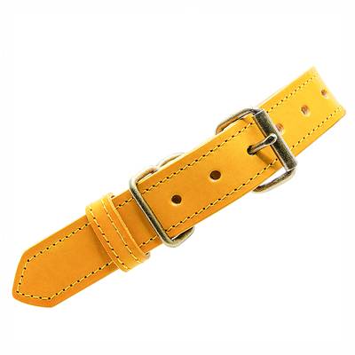 Nähe ein Lederhalsband mit gelbem Beschlag
