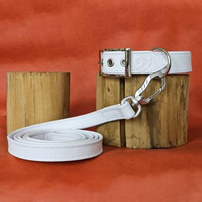 Nähe ein Lederleine und Halsband