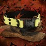 Example of use #1: Metal Side Release Buckle Plus – Black