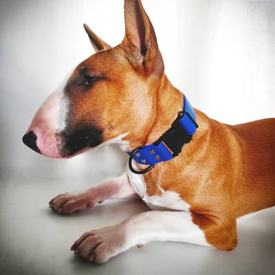 Haz un collar azul con herrajes negros