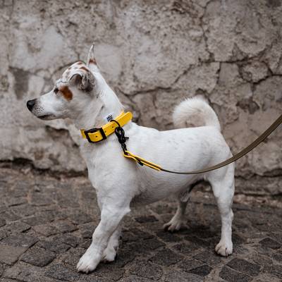 Haz un collar de nylon con herrajes