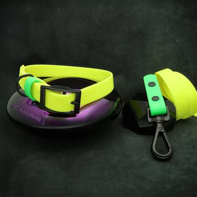 Cousez un collier en nylon et une laisse