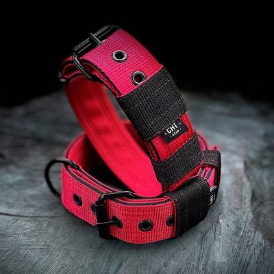Nähe ein rot-schwarzes Halsband mit Beschlägen