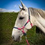 Example of use #1: Double Bar Collar Buckle – Brass