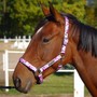 Example of use #1: 3 Sided Halter Square – Chrome Plated