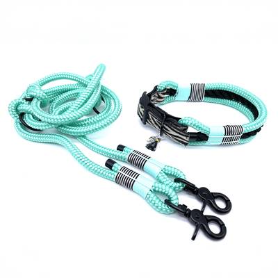 Green Collar and Leash with Ornament