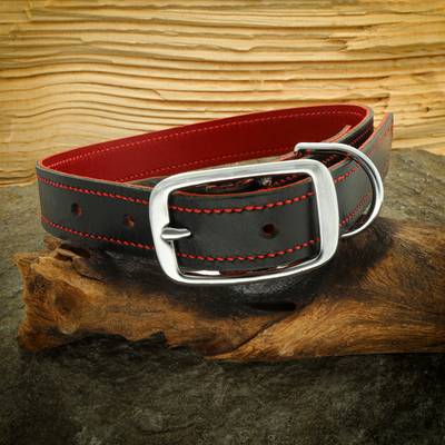 Black Leather Collar with Quality Chrome Plated Hardware