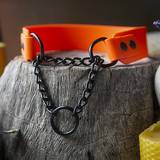 Neon Orange Collar with Martingale chain