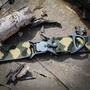Exemple d'utilisation #5: Boucles magnétiques Fidlock® pour colliers de chiens 15 mm