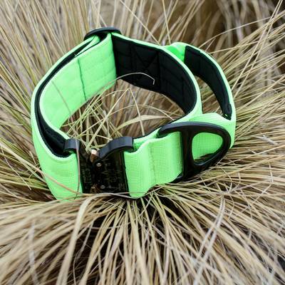 Green Solid Collar with Aluminum Buckle COBRA® PRO STYLE