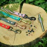 Laughter of Colored Leashes