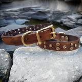 Dog collar timber brown