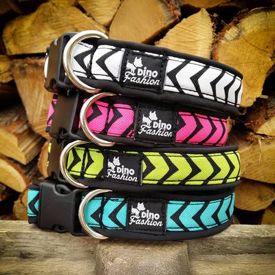 Dog collars SKY