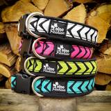 Dog collars SKY