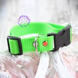 Waterproof Collars - Neon green
