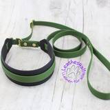 Black/Khaki Collar with Leash
