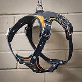Luxury Leather Harness