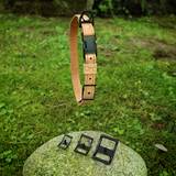 Leather Collar with Black Hardware