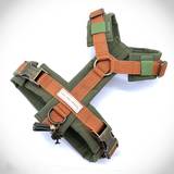 Coloured Harness with Antique Brass Hardware