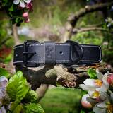 All Black Collar with Black Hardware